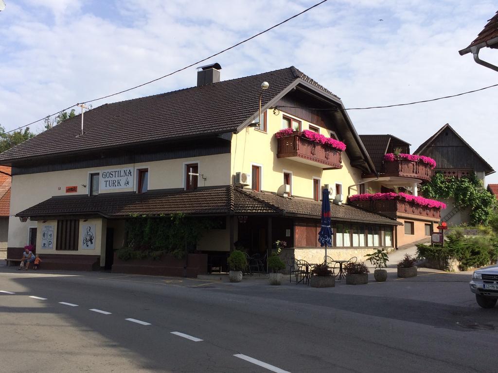 Gostilna Turk Hotel Hotedrsica Bagian luar foto